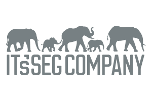 Logos Clientes - 2024_It_sSeg